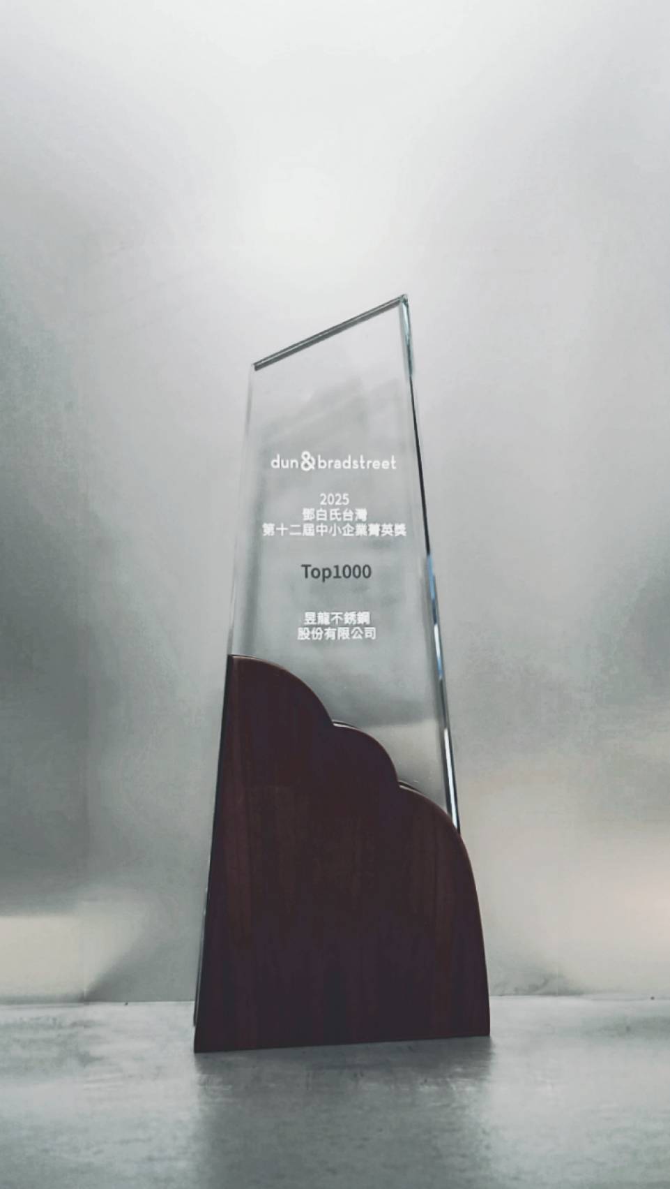 六 2025 DNB TOP 1000 Award